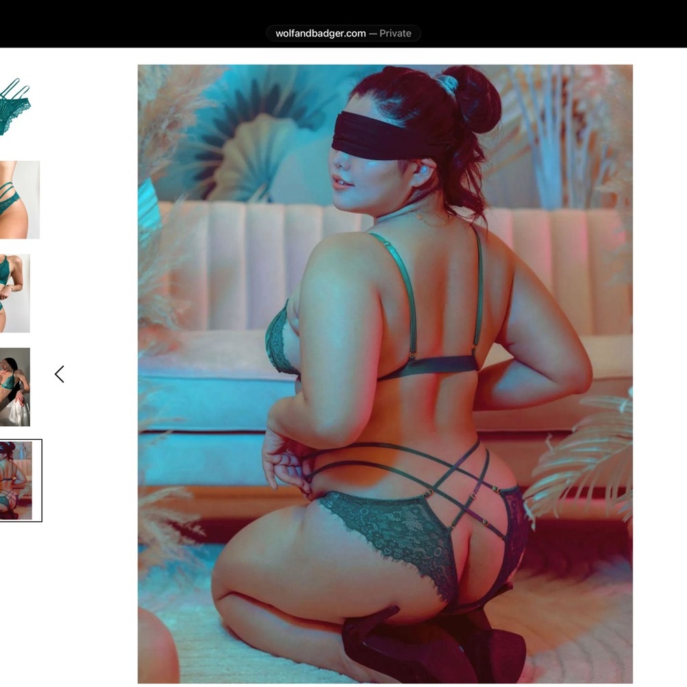 Empress Mimi Elegant Venus Brazilian Lace Teal Panties-NWT - Picture 4 of 4